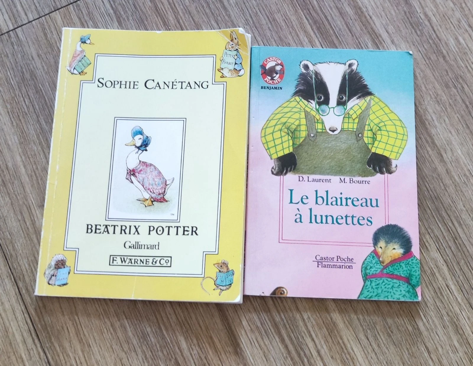 📚 Lot de 2 livres de littérature jeunesse classiques